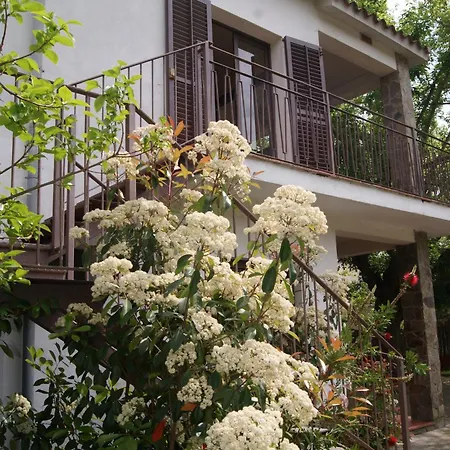 Apartamento Con Encanto L'Estany 2 Banyoles Exterior photo