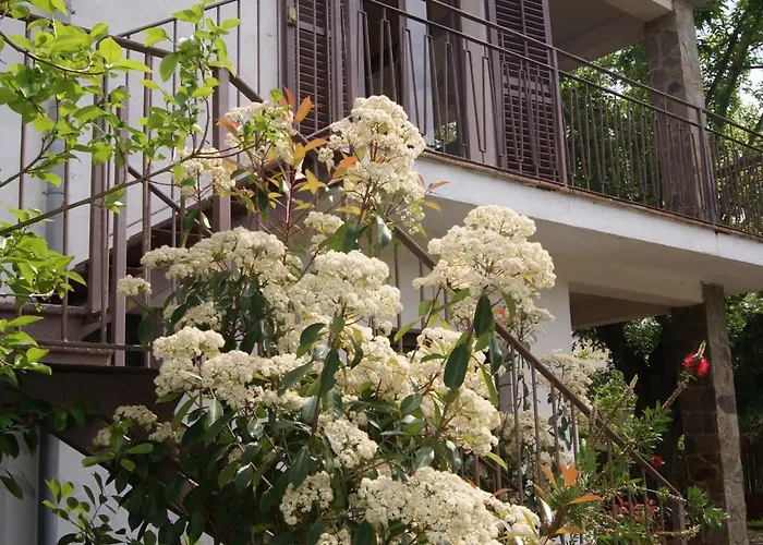 Apartamento Con Encanto L\'Estany 2