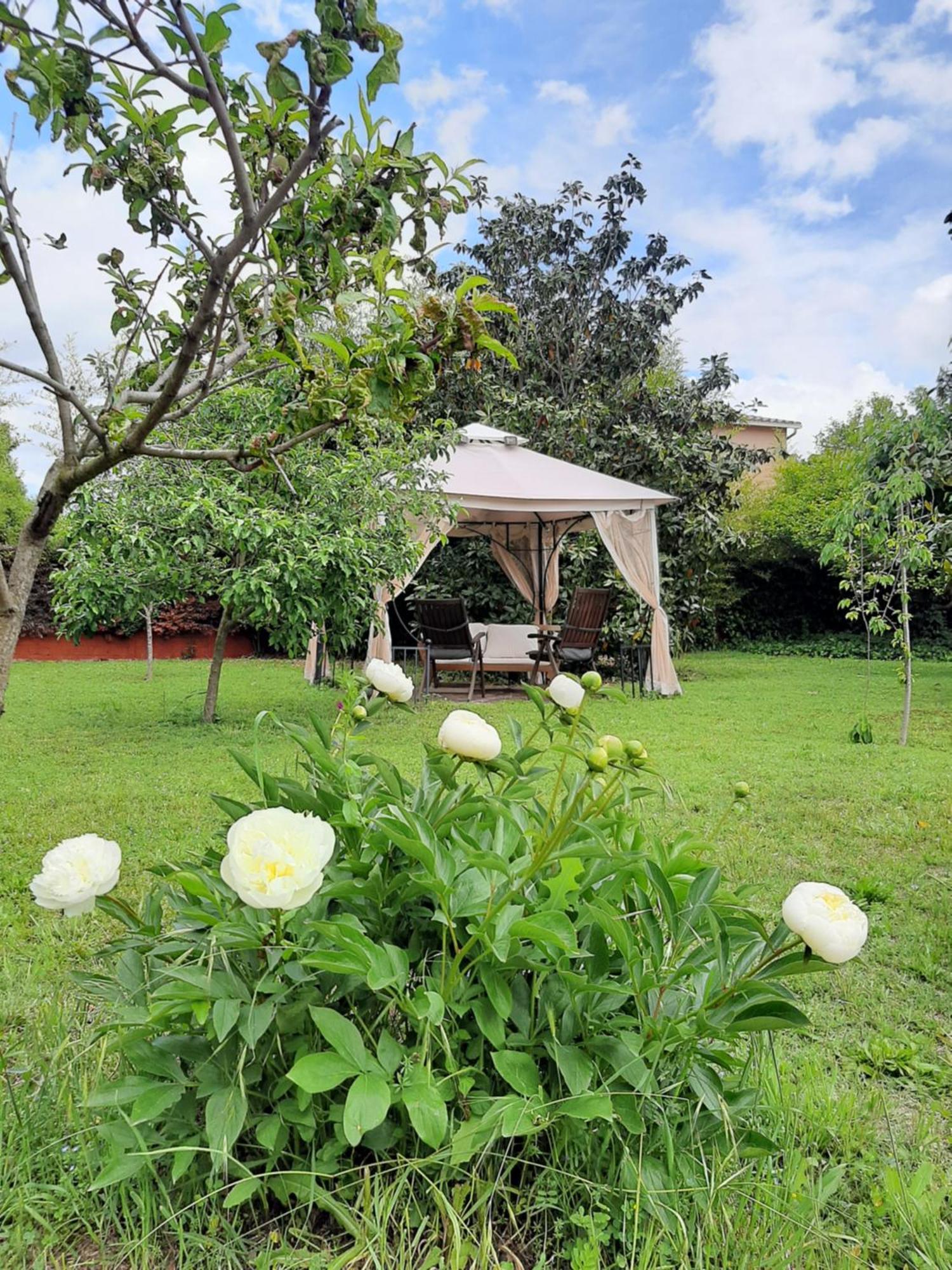 Apartment Con Encanto L'estany 2 Banyoles